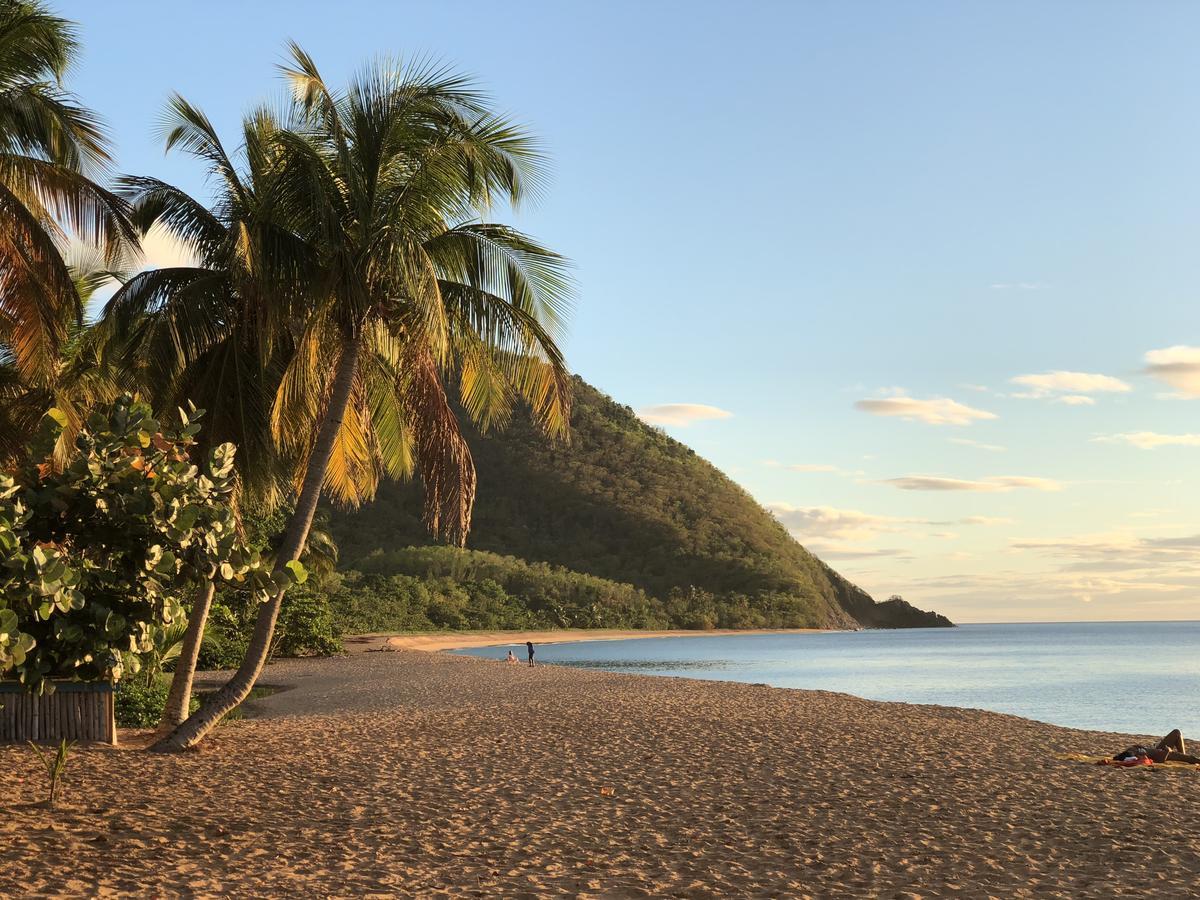 Hotel - Residence Habitation Grande Anse Деше Экстерьер фото